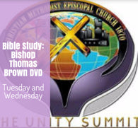 Bible Study Bishop Thomas Brown 2 DVDs